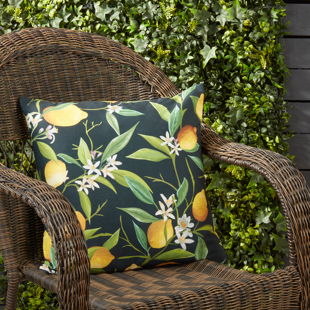9821 - Black Lemons Outdoor Poly Filled 18" Throw Pillow