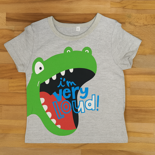 Grey Dinosaur Graphic Boy T-Shirt