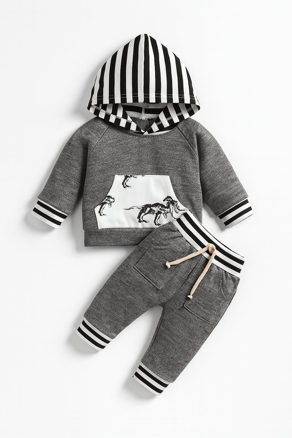 Grey Dinosaur Baby Hooded Sweatshirt and Pants