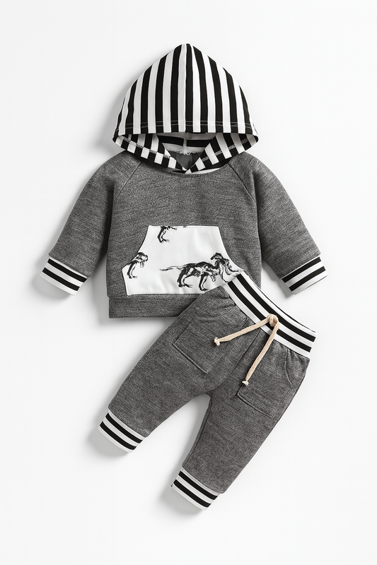 Grey Dinosaur Baby Hooded Sweatshirt and Pants