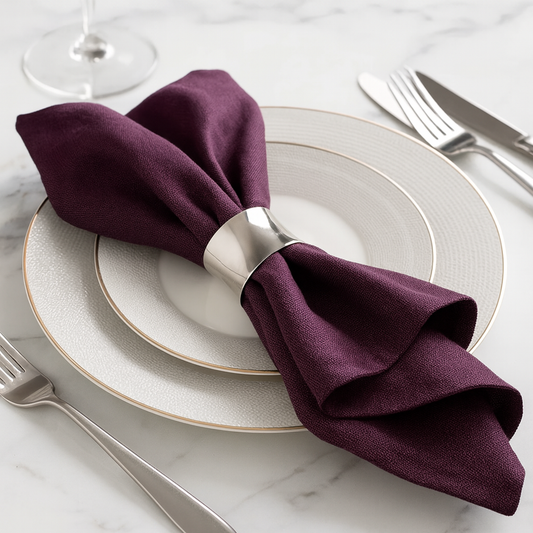 NR0035 - Classic Silver Metal Napkin Holder